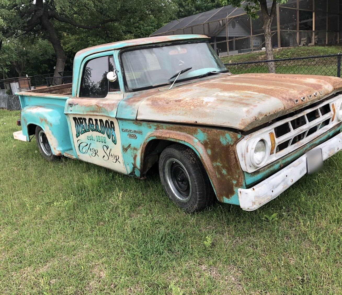 Weathered turquoise 1960s Dodge pickup with hand-lettered doors parked on the grass under Texas oaks